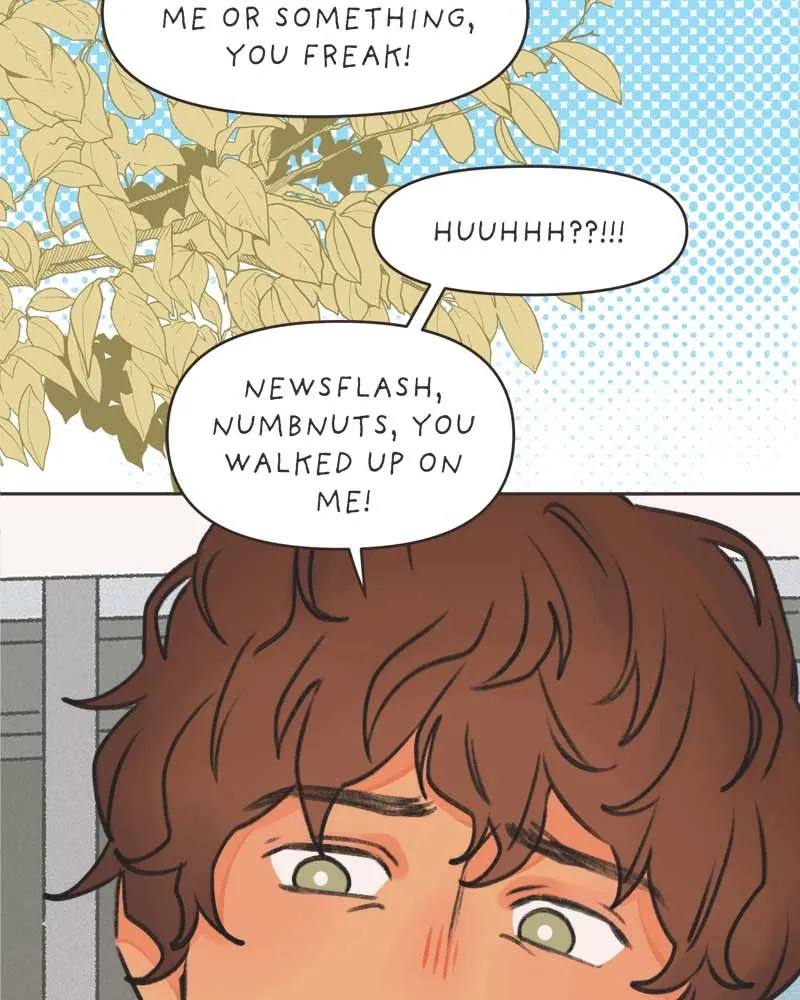 All Haven Academy Chapter 38 page 5 - 