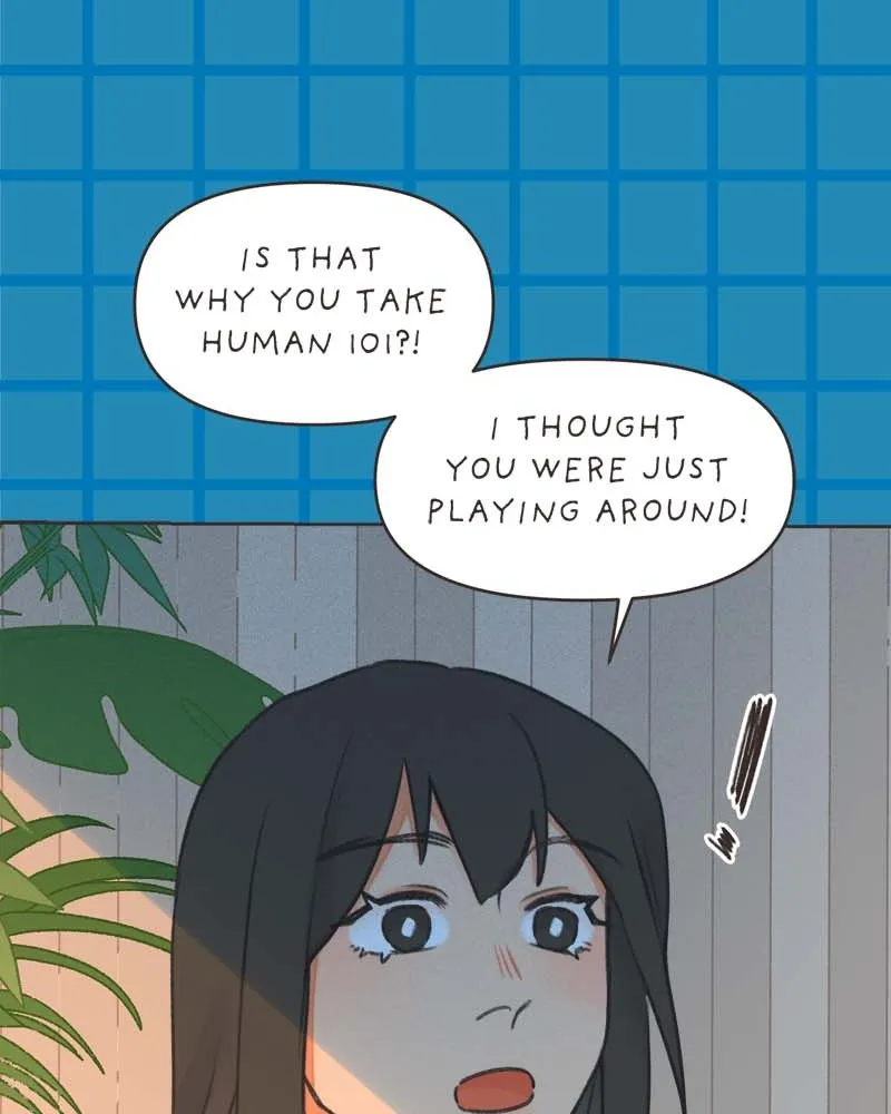 All Haven Academy Chapter 38 page 55 - 