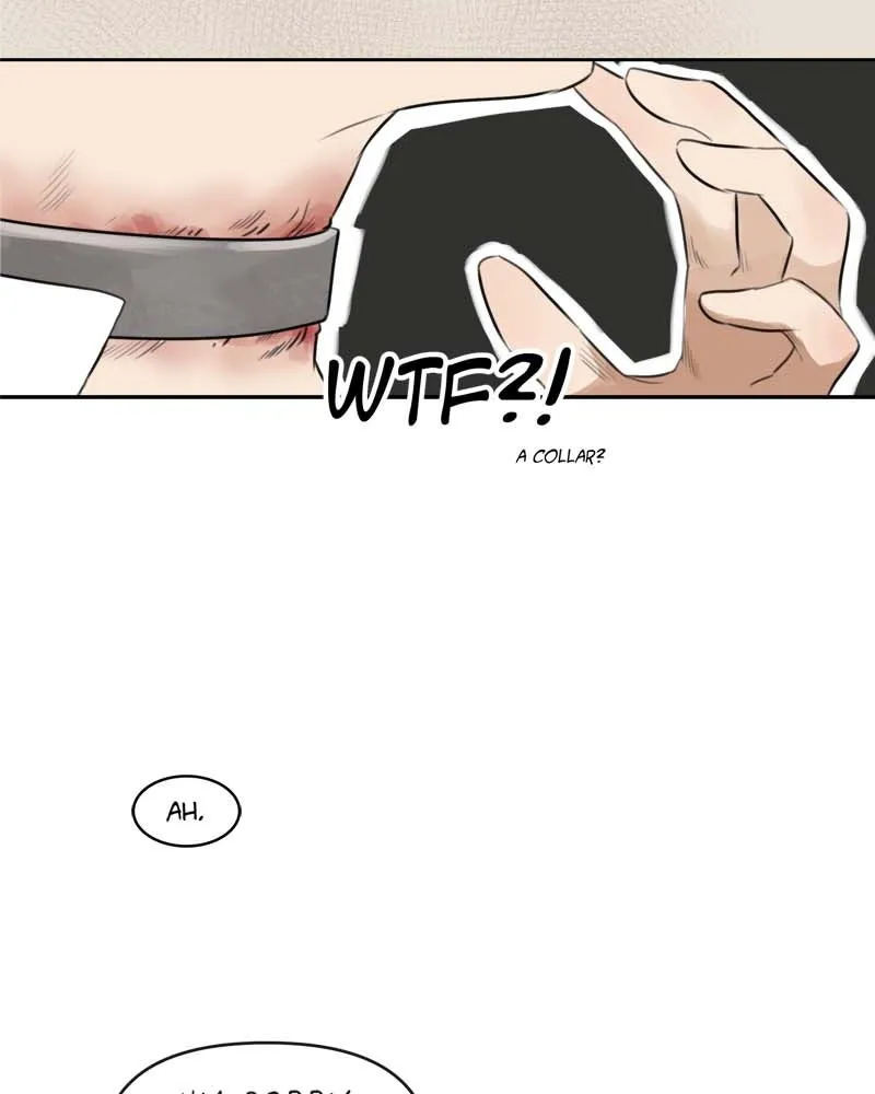 All Haven Academy Chapter 39 page 29 - 