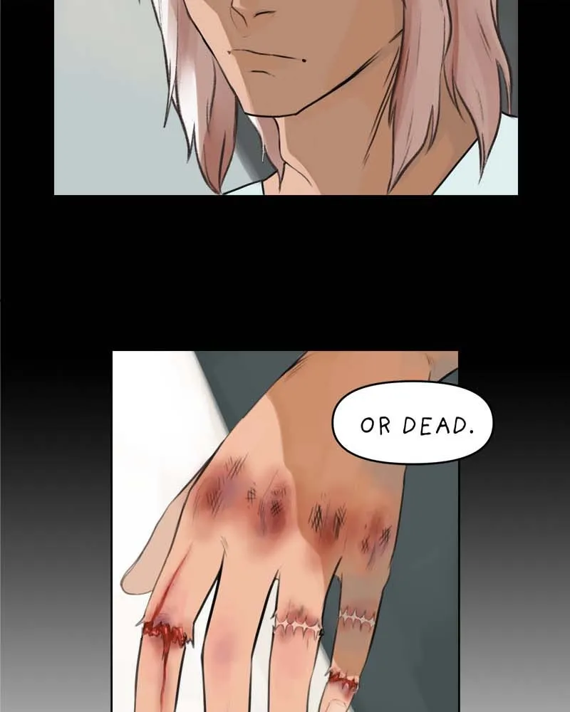 All Haven Academy Chapter 39 page 45 - 