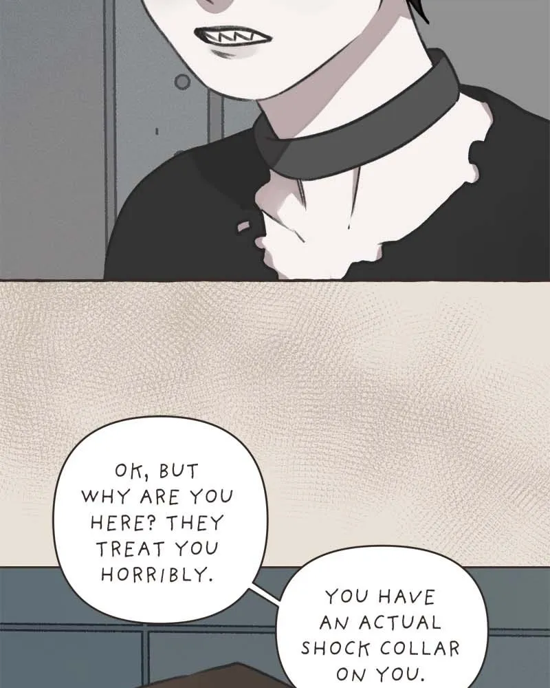 All Haven Academy Chapter 40 page 21 - 