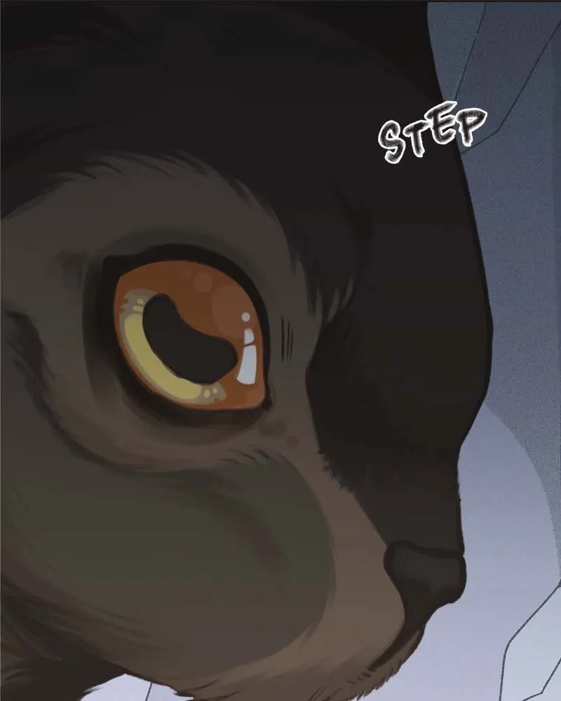 All Haven Academy Chapter 48 page 84 - 