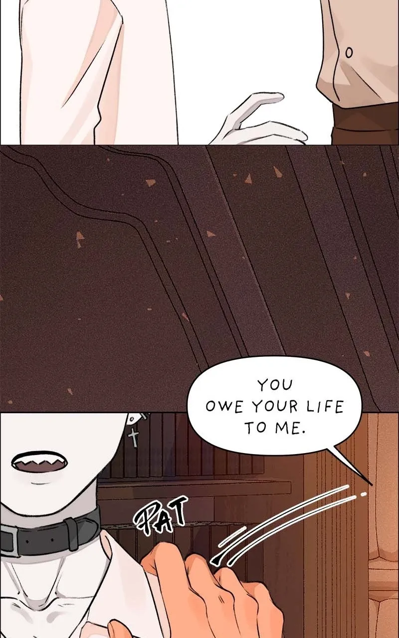 All Haven Academy Chapter 59 page 90 - 