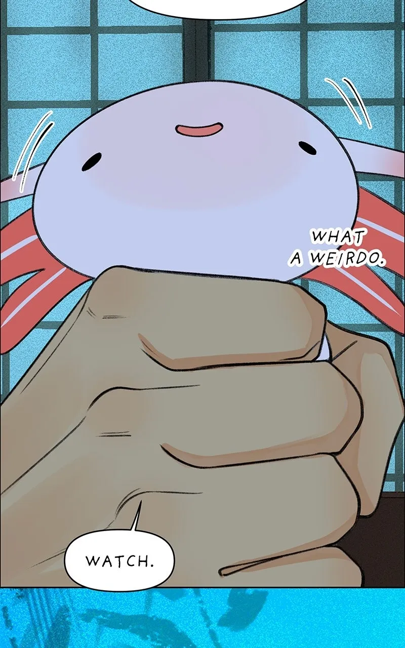 All Haven Academy Chapter 62 page 79 - 