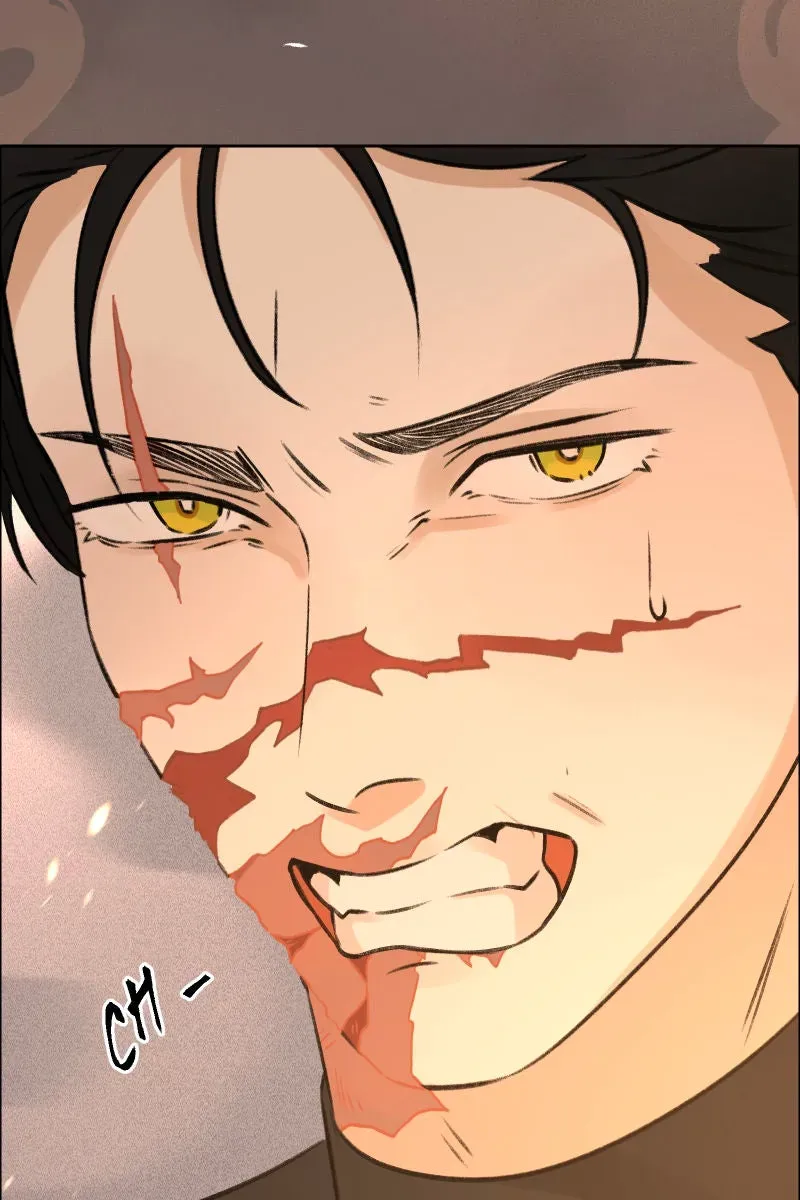 All Haven Academy Chapter 71 page 80 - 