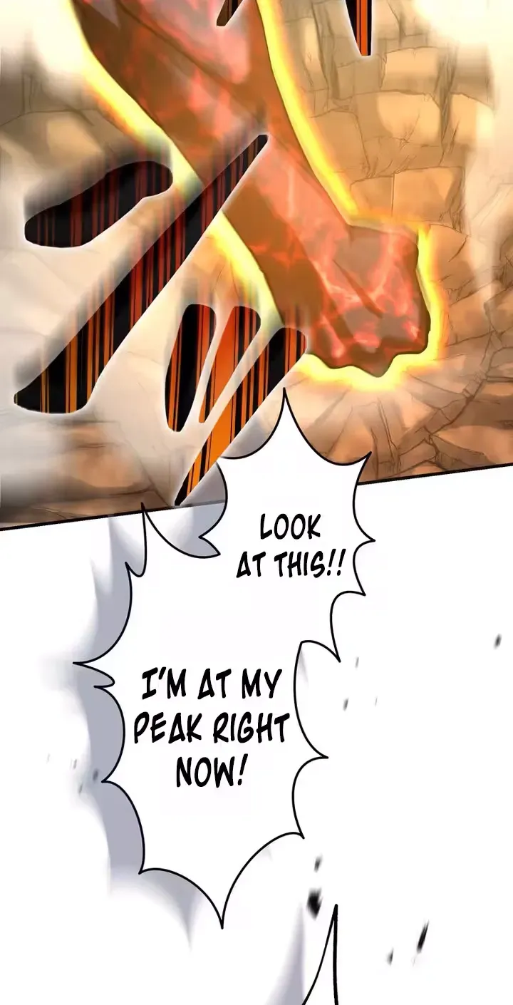 All Heroes Are My Enemies Chapter 1 page 207 - 