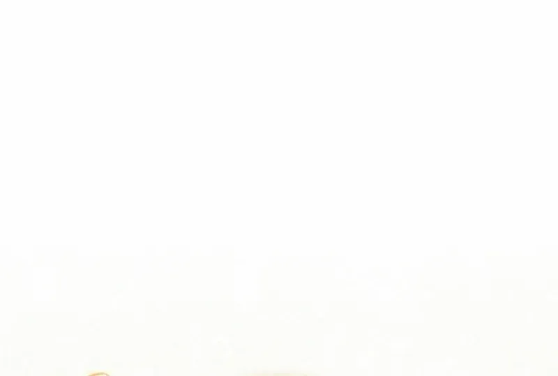 All I Want Is My Dream Home Chapter 11 page 29 - 