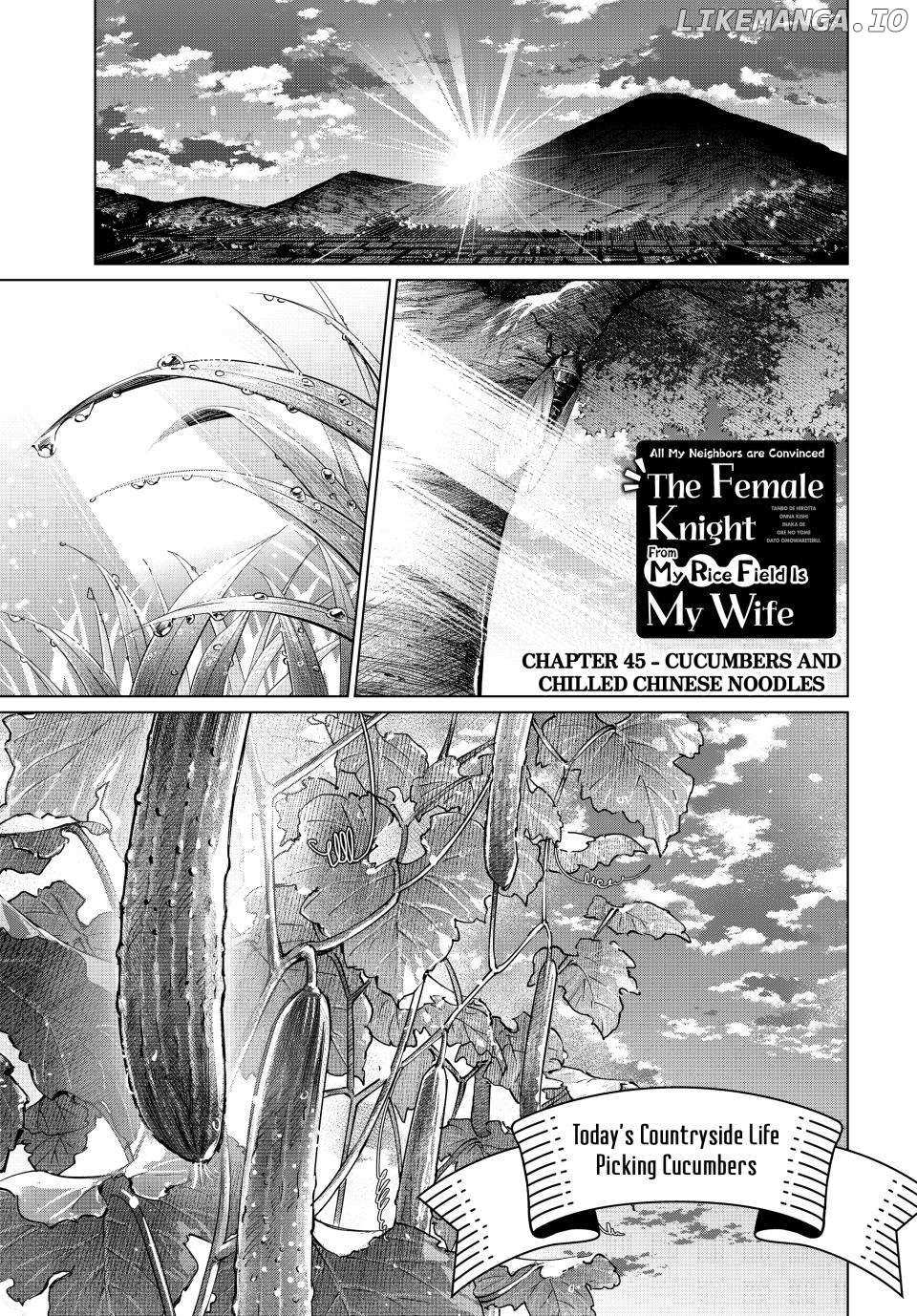 All My Neighbors are Convinced the Female Knight from My Rice Field Is My Wife Chapter 45 page 2 - 