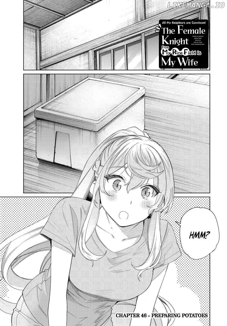All My Neighbors are Convinced the Female Knight from My Rice Field Is My Wife Chapter 46 page 2 - 