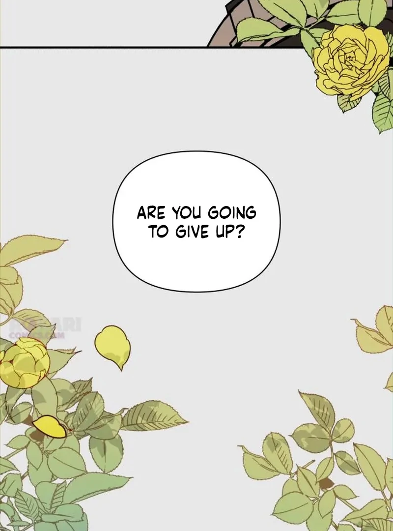 All Sorts of Nonsense, Begins Now Chapter 16 page 116 - 