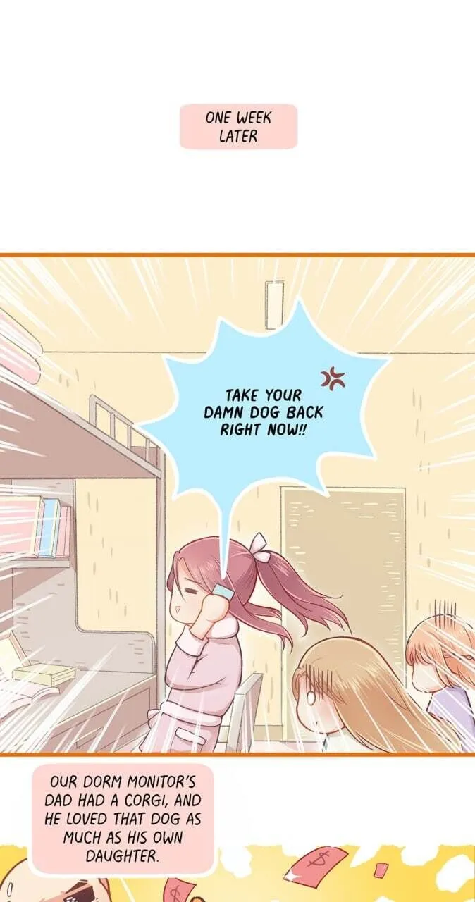 All the Things I Like About You Chapter 20 page 13 - 