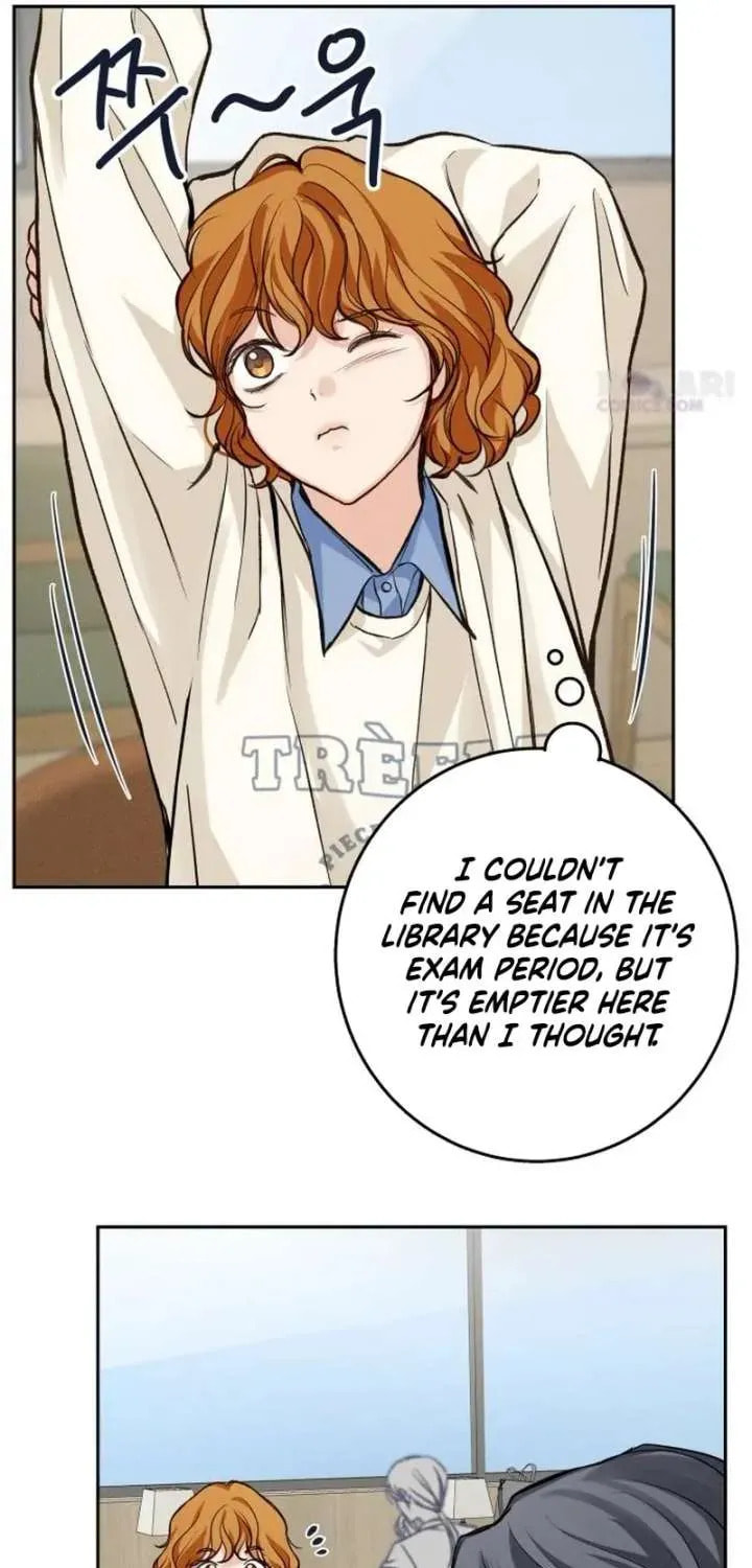 All You Need Is Perfection Chapter 25 page 34 - 