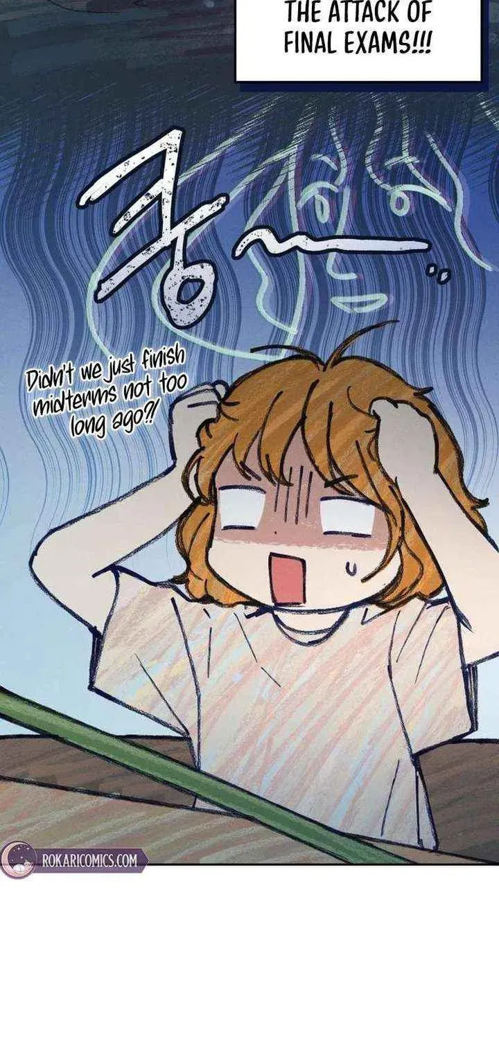 All You Need Is Perfection Chapter 35 page 62 - 