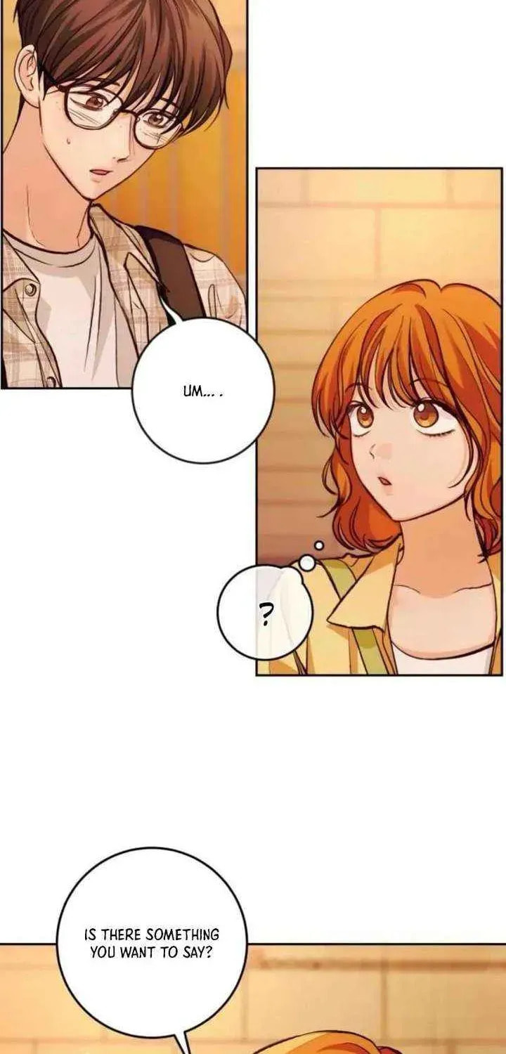 All You Need Is Perfection Chapter 38 page 4 - 