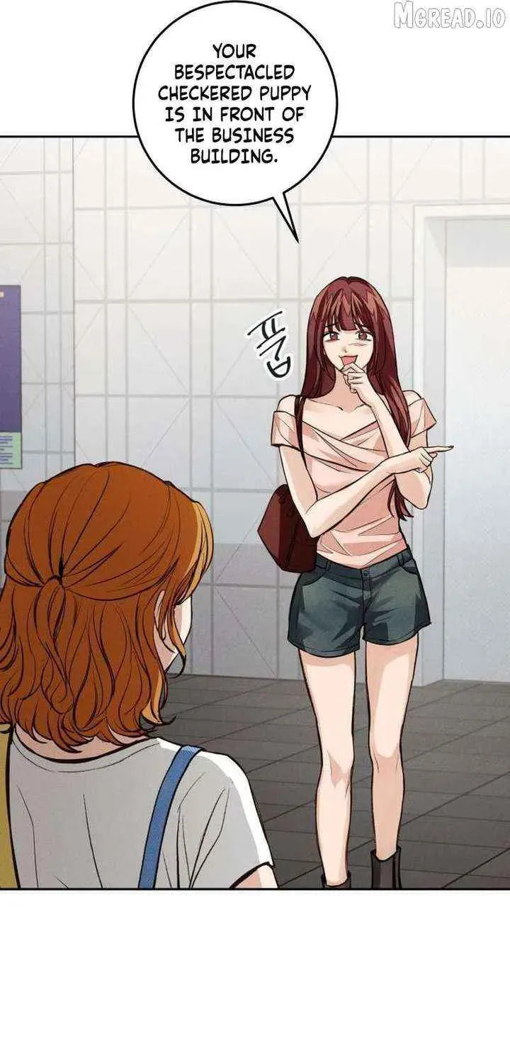 All You Need Is Perfection Chapter 39 page 79 - 