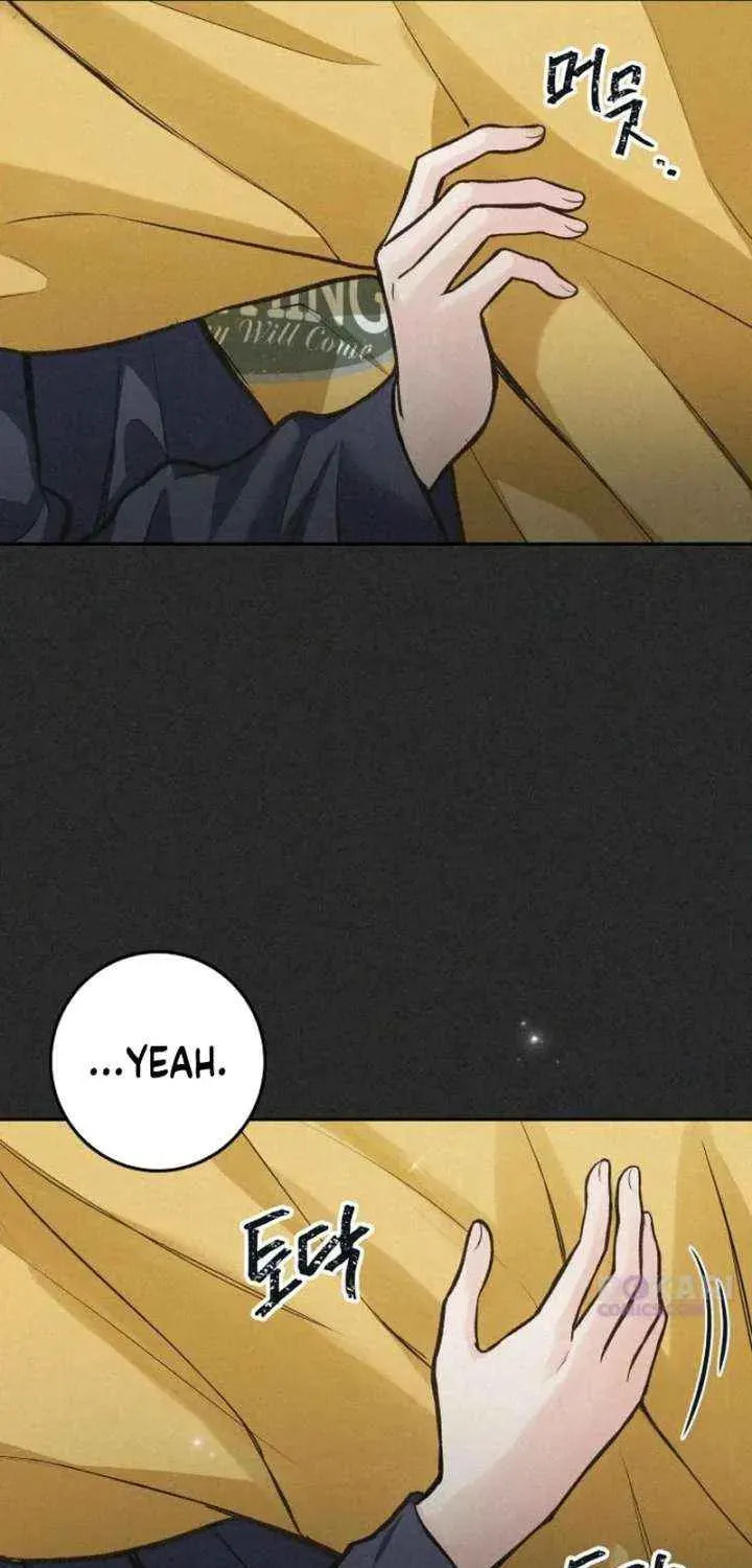 All You Need Is Perfection Chapter 42 page 49 - 