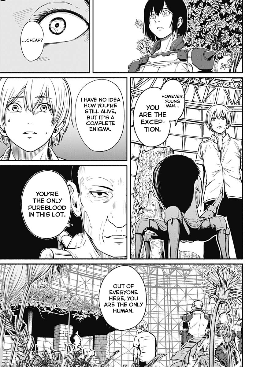 Alma Chapter 24 page 11 - 