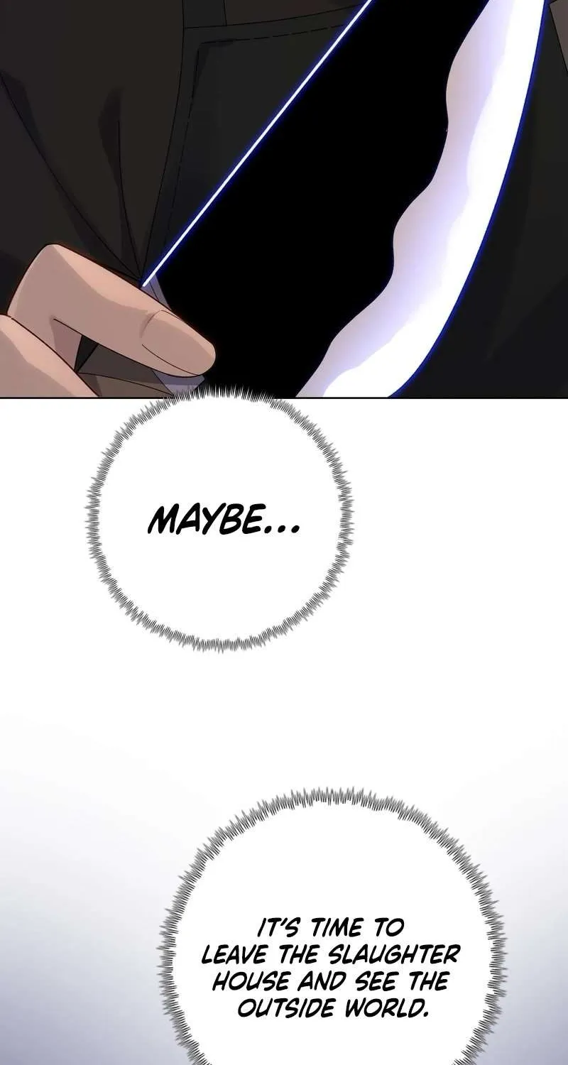 Almighty Pig Slaughtering Knife Chapter 4 page 25 - 