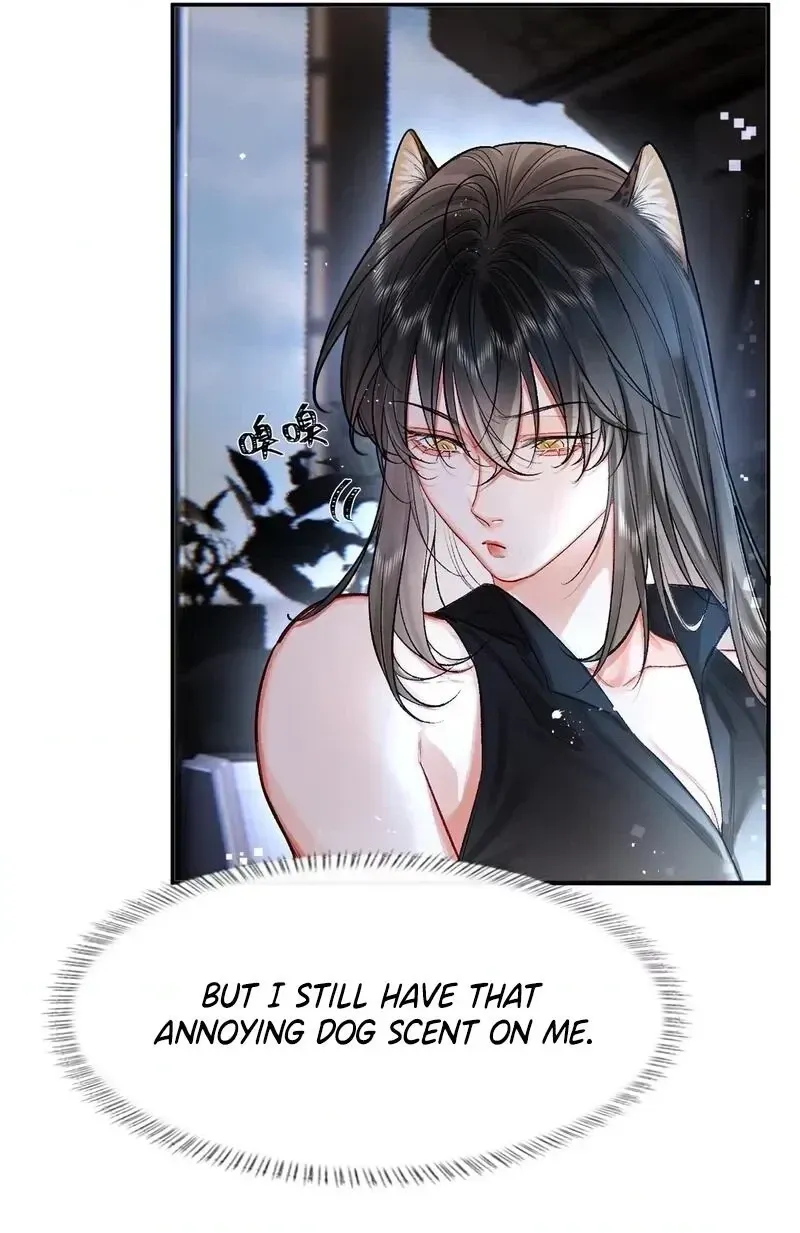 Alpha Mommy, I Really Want to Mark You Chapter 3 page 13 - 