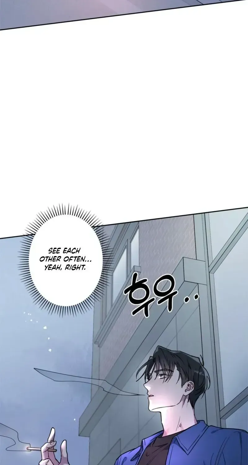 Alpine Chapter 1.2 page 41 - 