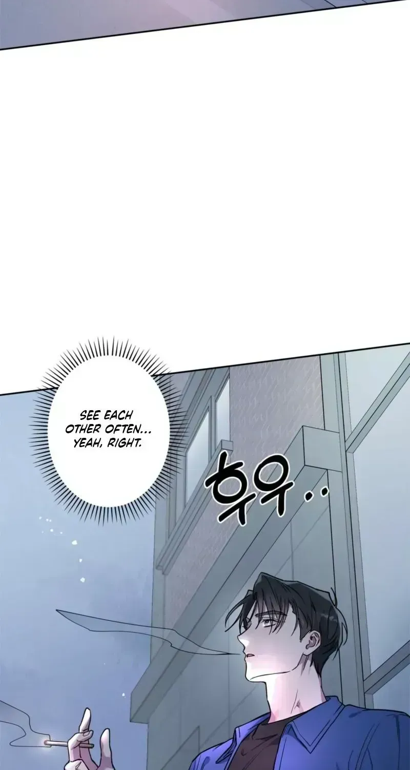 Alpine Chapter 1.4 page 41 - 