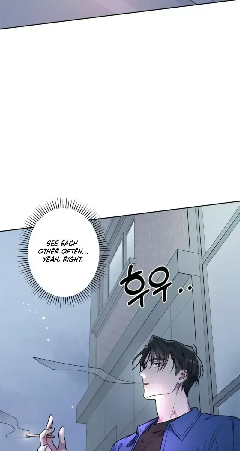 Alpine Chapter 1.6 page 41 - 