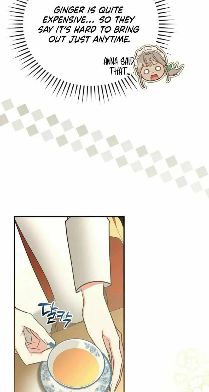 Although I Am a Mother-In-Law, I Do Not Like Conflict Between My In-Laws Chapter 15 page 45 - 