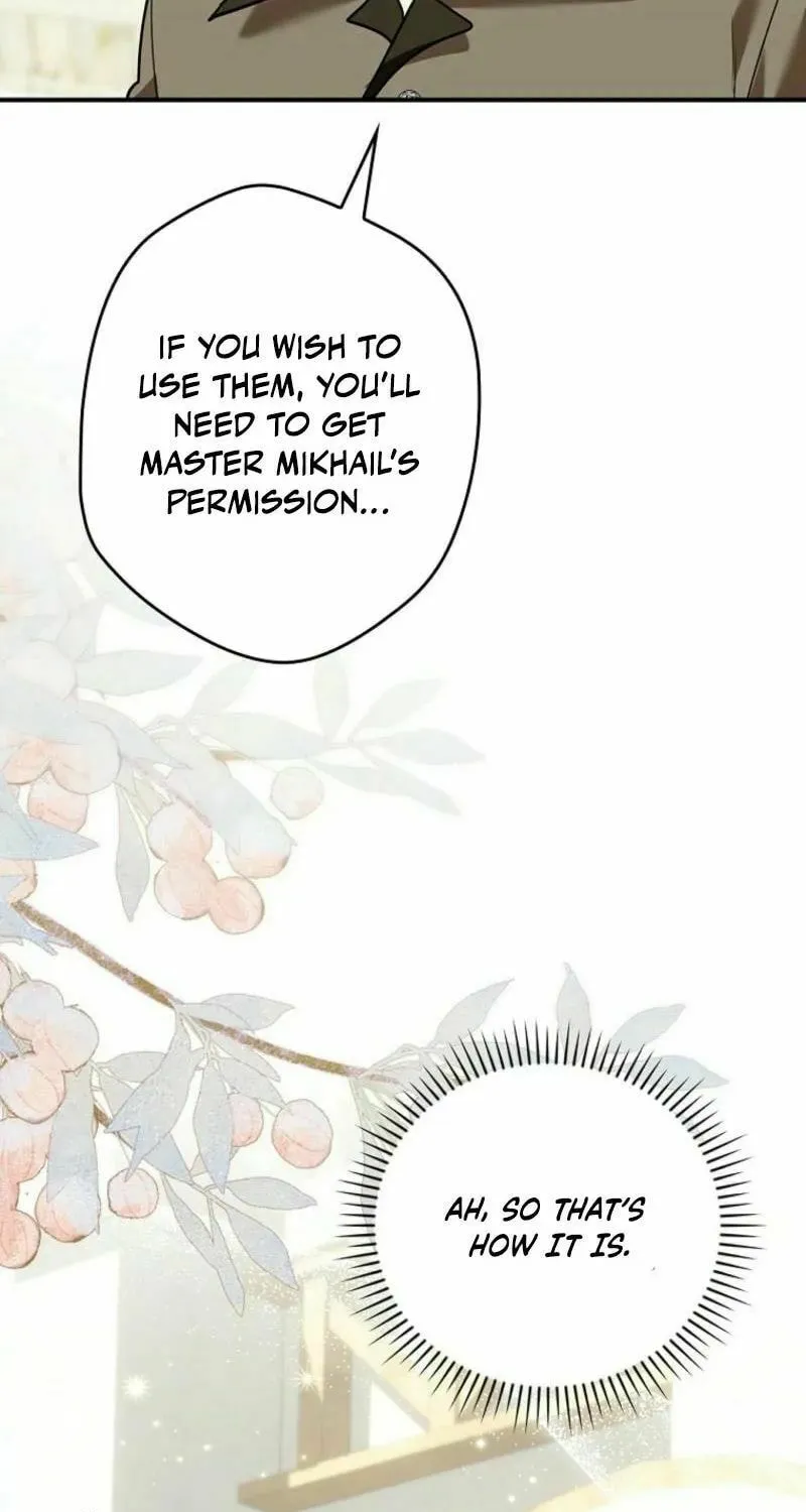Although I Am a Mother-In-Law, I Do Not Like Conflict Between My In-Laws Chapter 16 page 55 - 