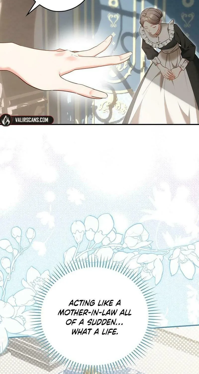Although I Am a Mother-In-Law, I Do Not Like Conflict Between My In-Laws Chapter 2 page 14 - 