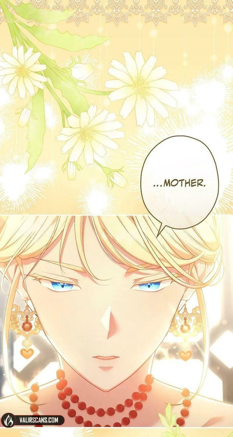 Although I Am a Mother-In-Law, I Do Not Like Conflict Between My In-Laws Chapter 2 page 5 - 
