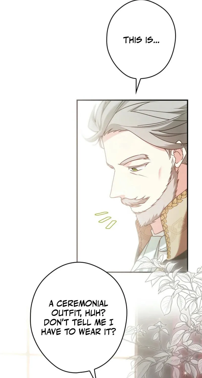 Although I Am a Mother-In-Law, I Do Not Like Conflict Between My In-Laws Chapter 21 page 8 - 
