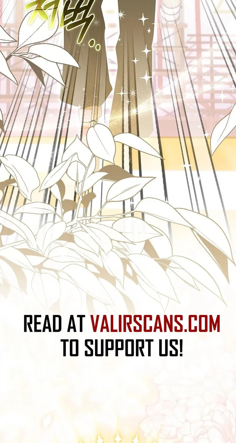Although I Am a Mother-In-Law, I Do Not Like Conflict Between My In-Laws Chapter 22 page 47 - 