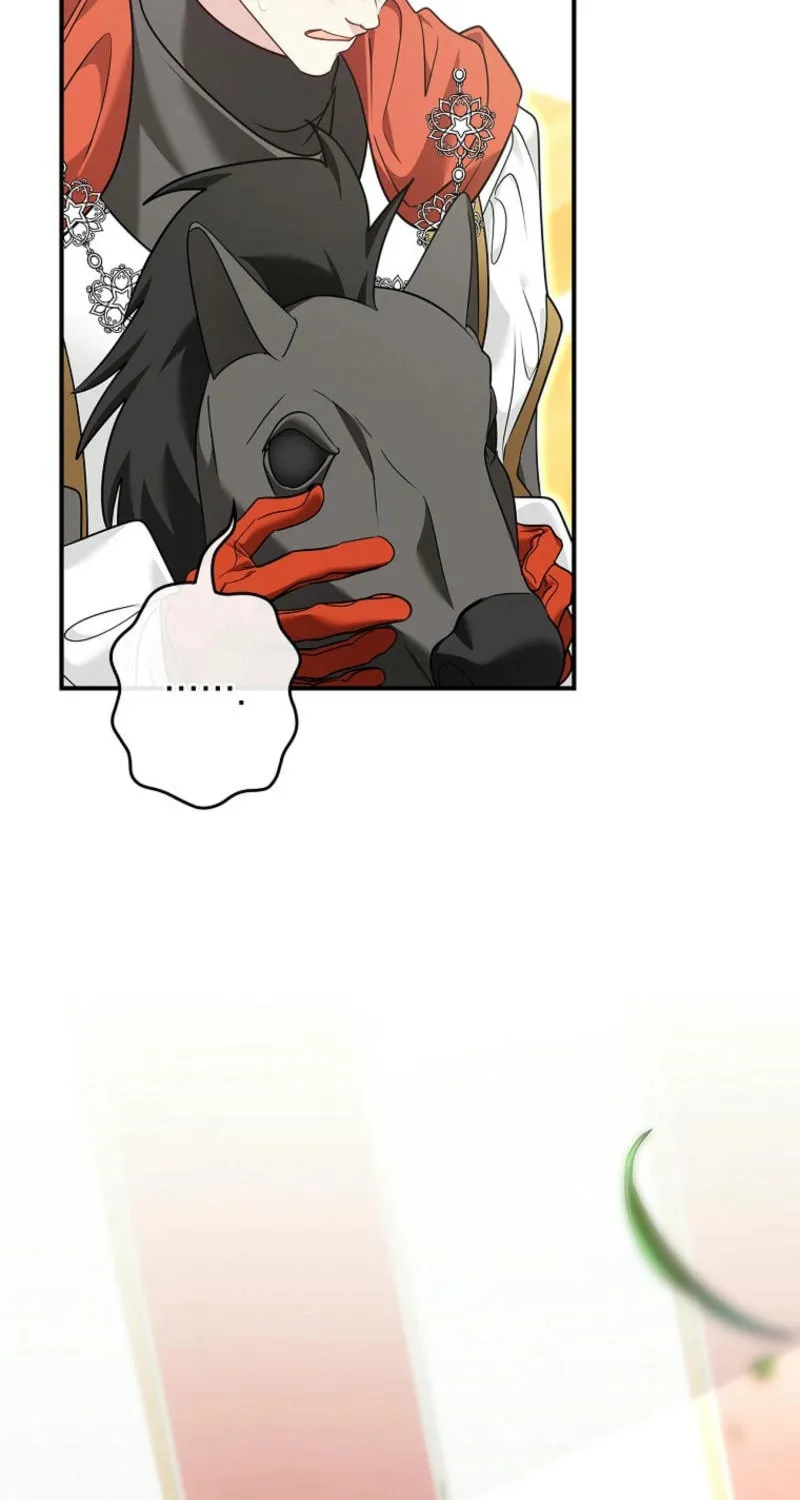 Although I Am a Mother-In-Law, I Do Not Like Conflict Between My In-Laws Chapter 25 page 64 - 