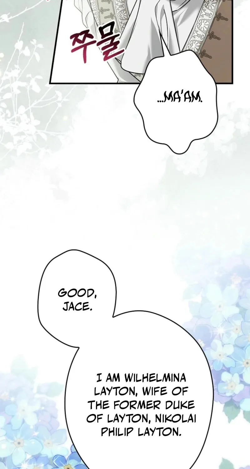 Although I Am a Mother-In-Law, I Do Not Like Conflict Between My In-Laws Chapter 28 page 43 - 