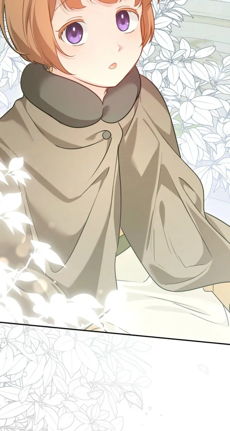 Although I Am a Mother-In-Law, I Do Not Like Conflict Between My In-Laws Chapter 33 page 43 - 