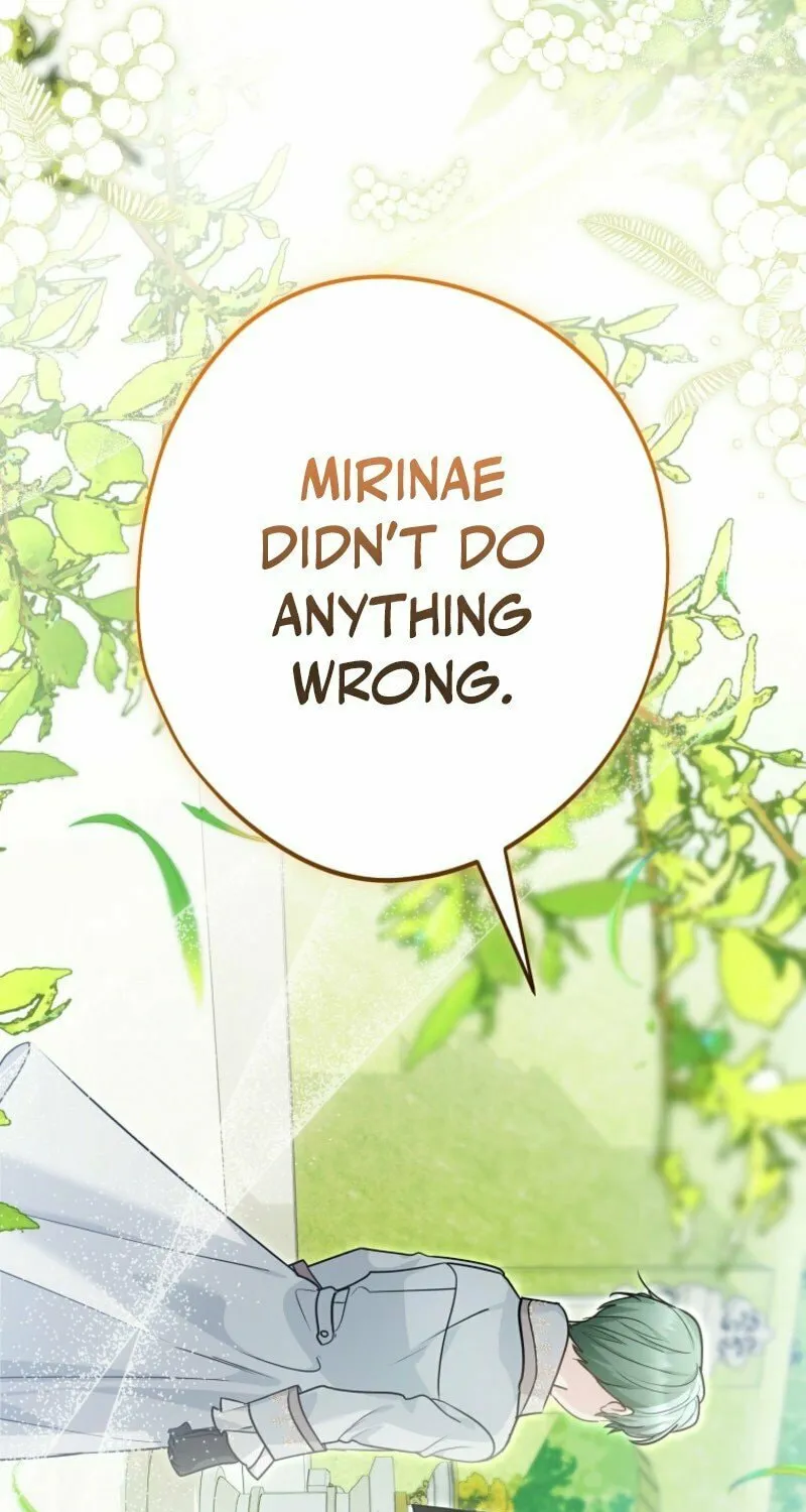 Although I Am a Mother-In-Law, I Do Not Like Conflict Between My In-Laws Chapter 36 page 79 - 
