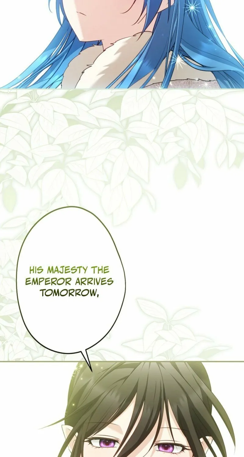 Although I Am a Mother-In-Law, I Do Not Like Conflict Between My In-Laws Chapter 39 page 37 - 