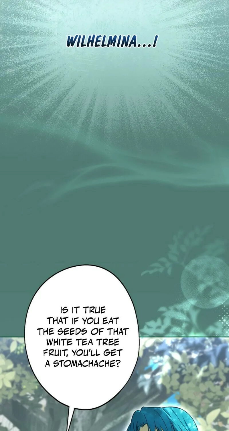 Although I Am a Mother-In-Law, I Do Not Like Conflict Between My In-Laws Chapter 40 page 76 - 