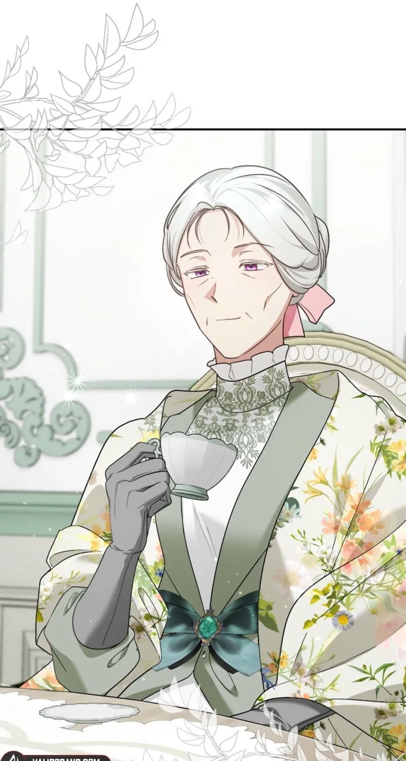 Although I Am a Mother-In-Law, I Do Not Like Conflict Between My In-Laws Chapter 41 page 46 - 