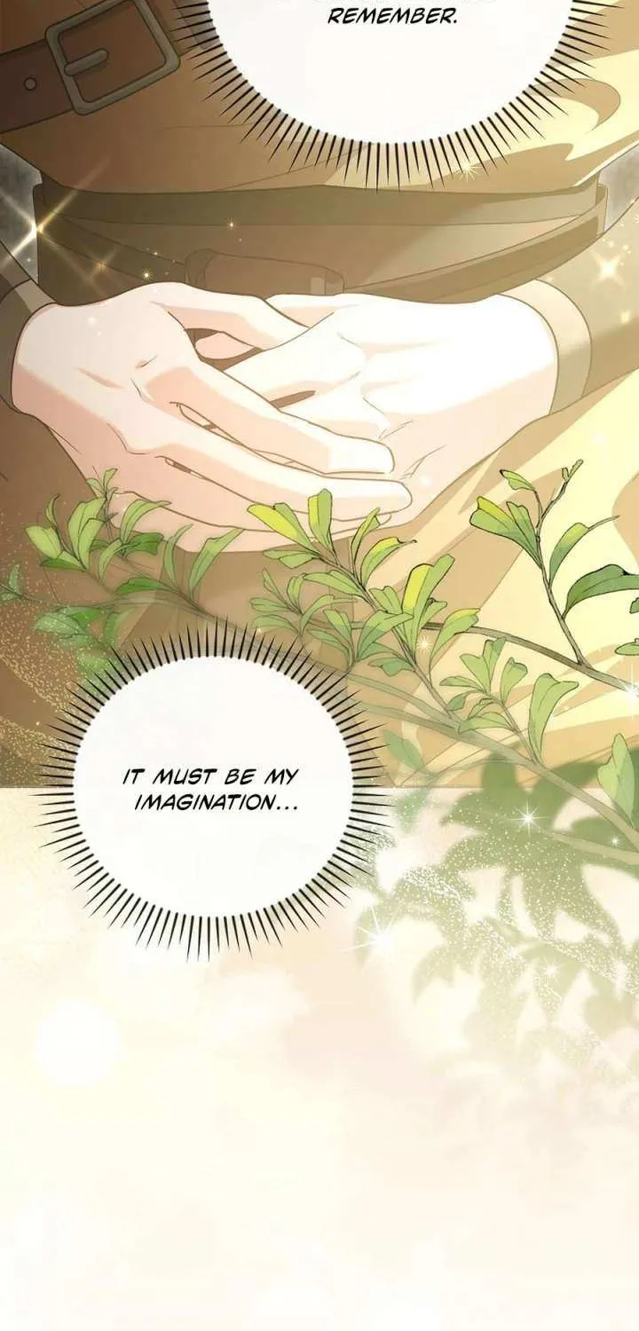 Although I Am a Mother-In-Law, I Do Not Like Conflict Between My In-Laws Chapter 46 page 20 - 