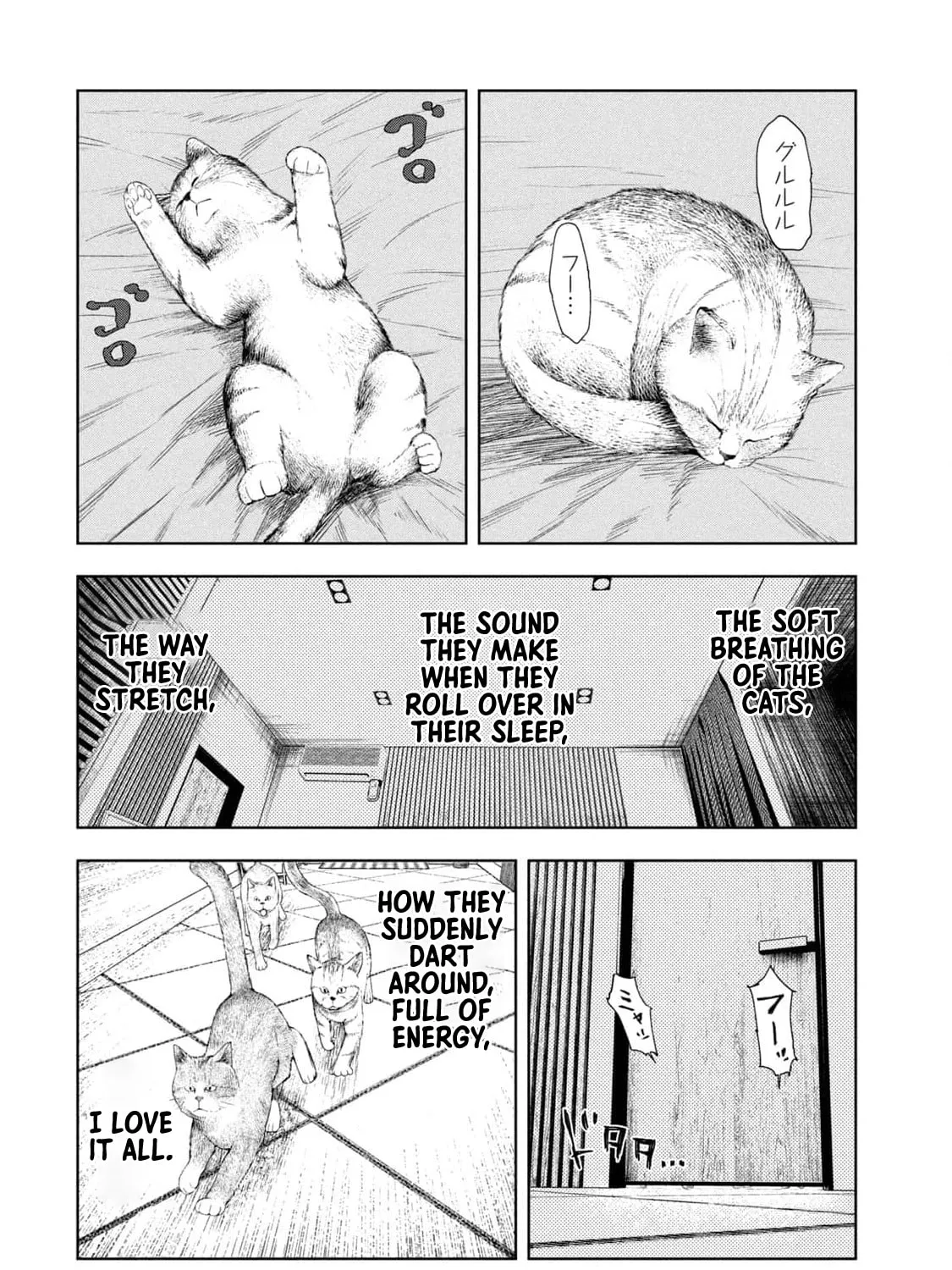 Amateur Vigilante Chapter 13 page 3 - 