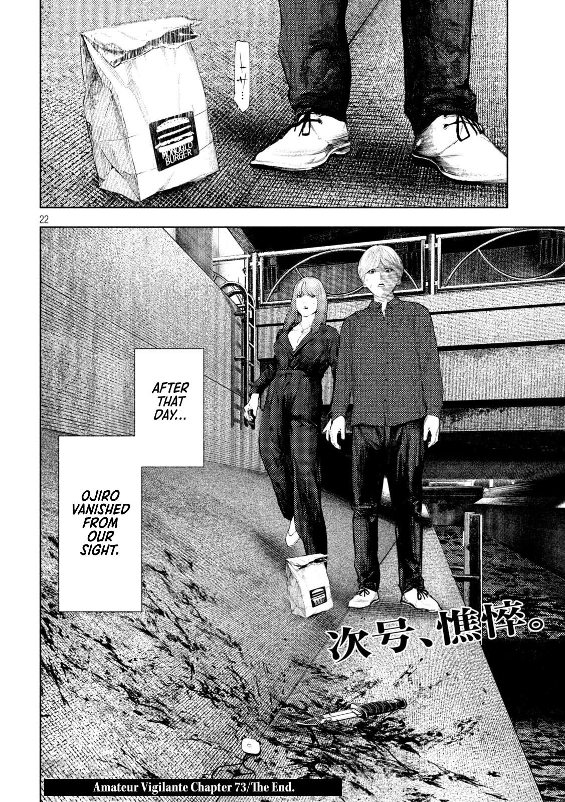 Amateur Vigilante Chapter 73 page 21 - 