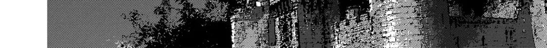 An Archdemon