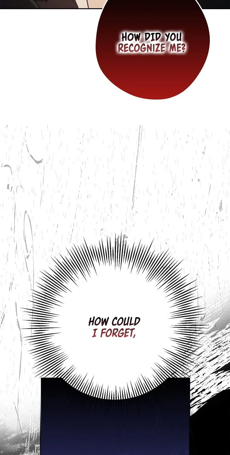 An Extra Stole the Male Leads Chapter 10 page 133 - 