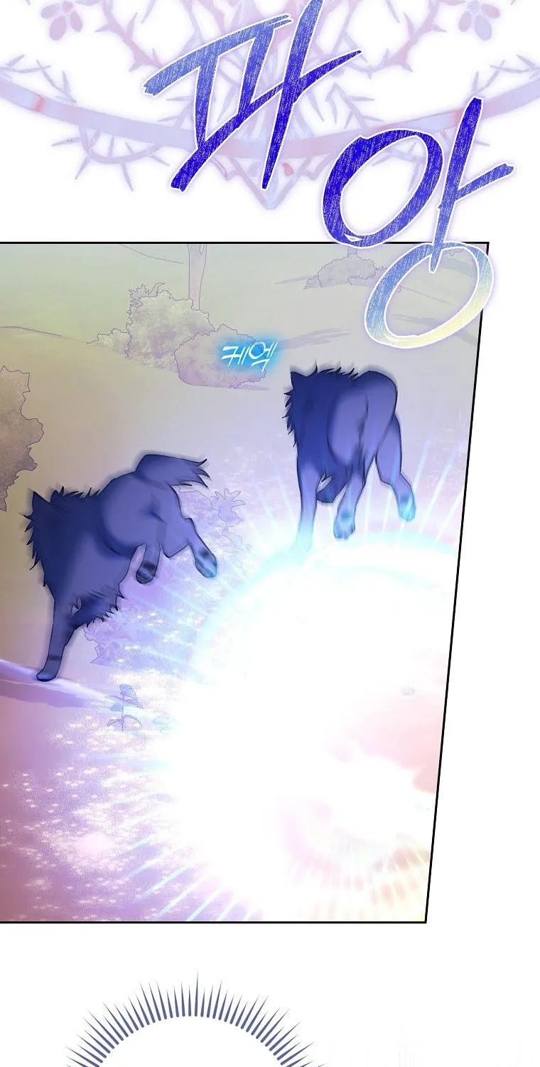 An Extra Stole the Male Leads Chapter 10 page 95 - 
