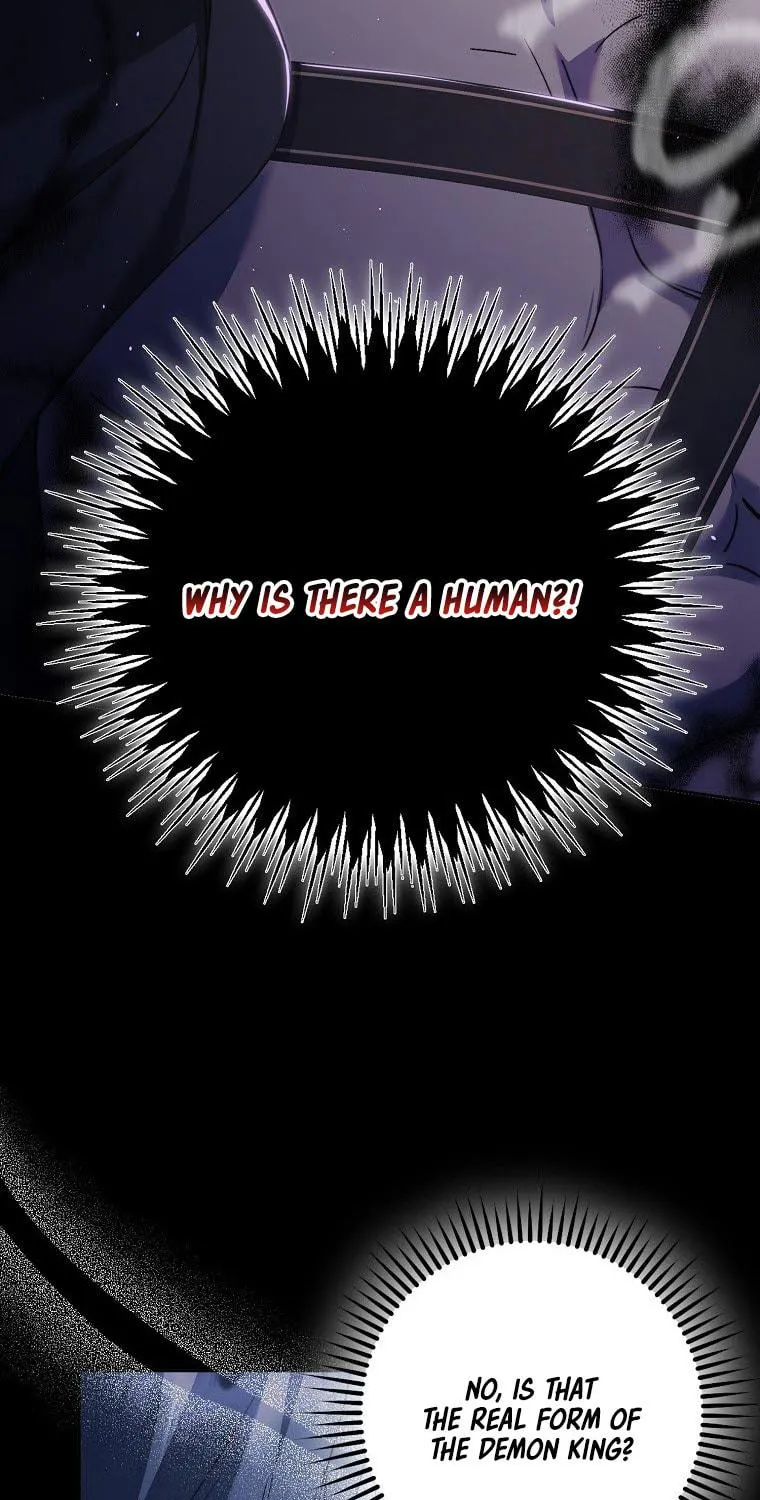 An Extra Stole the Male Leads Chapter 11 page 41 - 