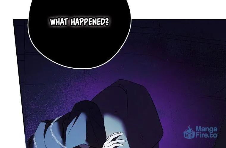 An Extra Stole the Male Leads Chapter 12 page 12 - 
