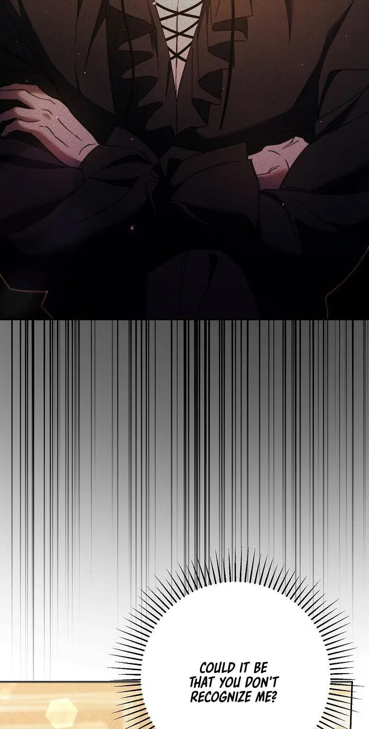 An Extra Stole the Male Leads Chapter 12 page 35 - 