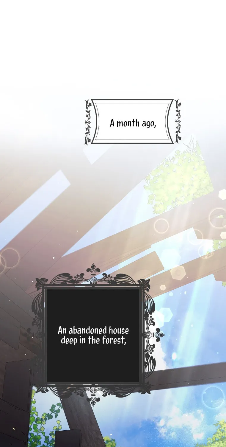 An Extra Stole the Male Leads Chapter 17 page 1 - 