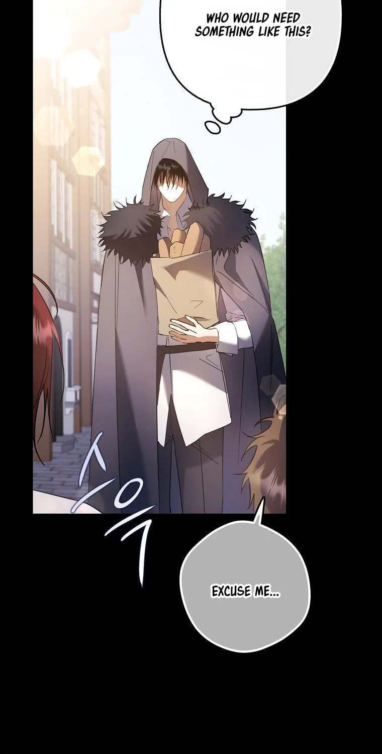 An Extra Stole the Male Leads Chapter 19 page 41 - 
